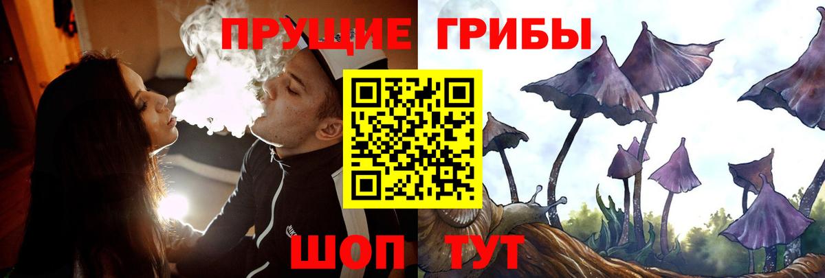 Псилоцибиновые грибы Magic Shrooms Новоуральск
